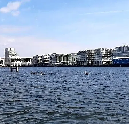 Waterfront